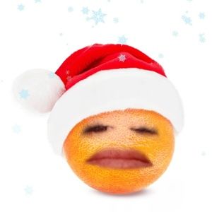 Meet your Posher, Josephine